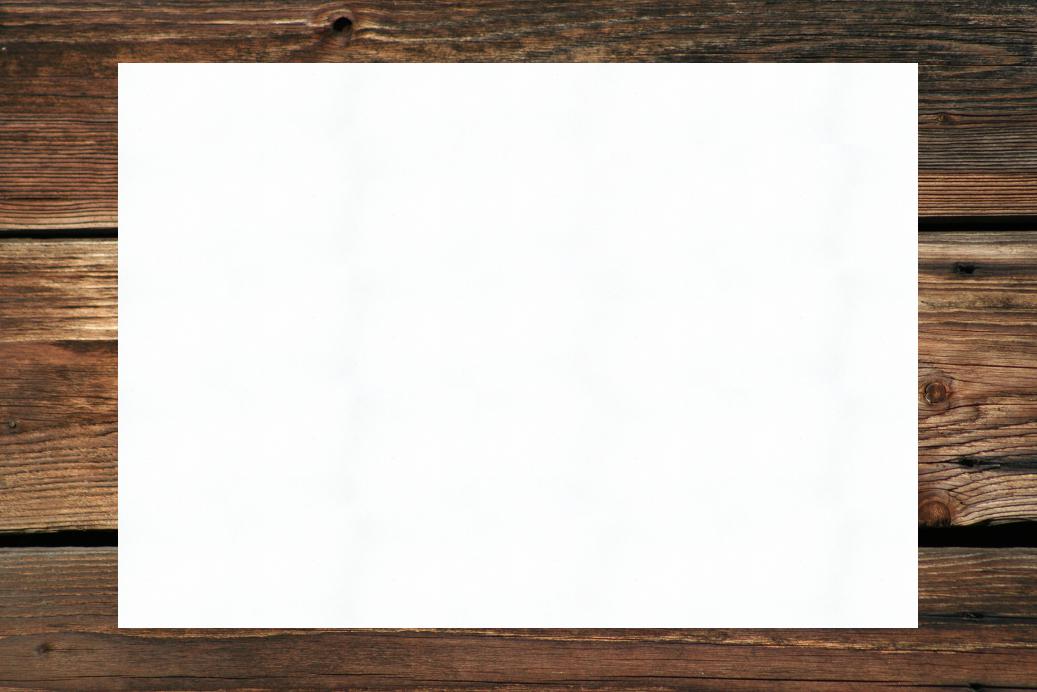 Einzelkarten 80x130 mm Naturweiß 230 g/qm